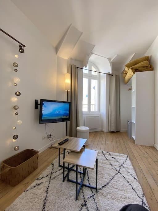 Cosy Mac Nab Apartment Vierzon Exterior photo