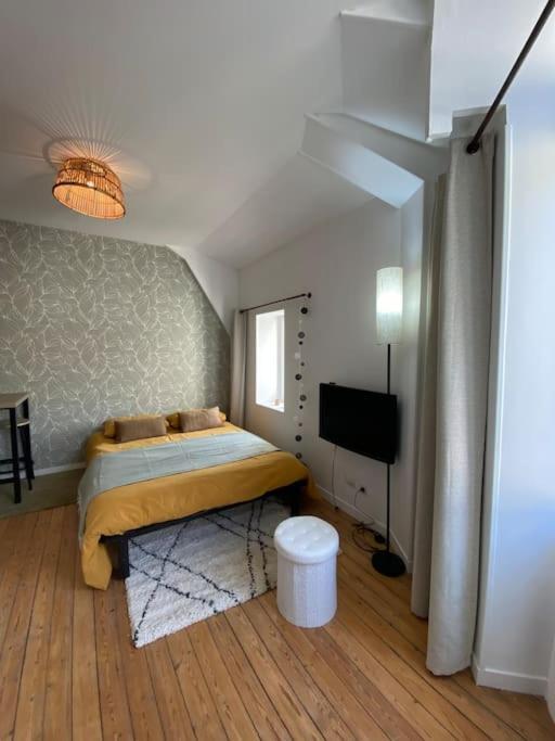 Cosy Mac Nab Apartment Vierzon Exterior photo